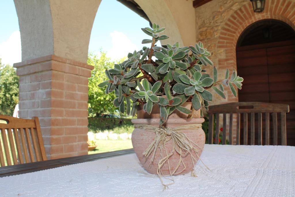 Agriturismo Poggio Della Rosa Amelia Dış mekan fotoğraf